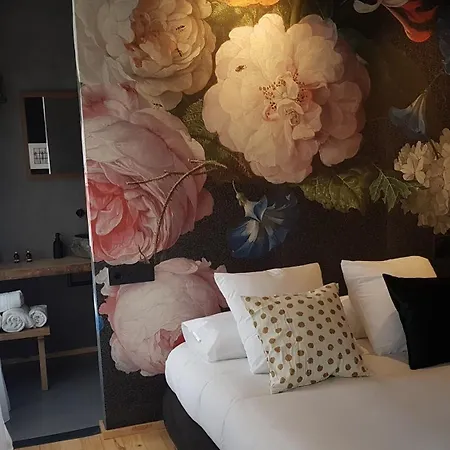 Guest house 13
