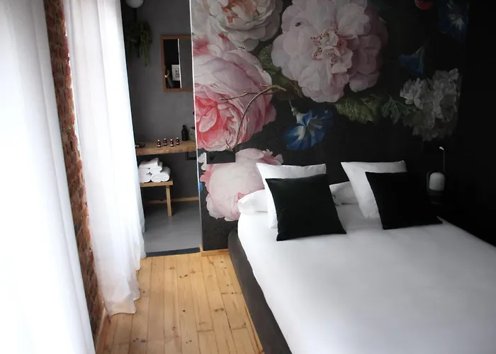 Vendégház 13 León