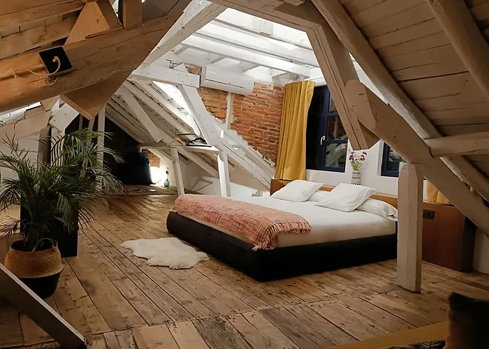 בית הארחה 13